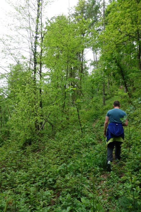 A Guide To Hiking Smarna Gora, The best day trip from Ljubljana. 11 day trips from Ljubljana, Hiking Smarna Gora, The Local Ljubljana mountain! Things to do in ljubljana, Slovenia, Eastern Europe, nature, hikes, mountains, near to the city, local guide, local tips, local food, outdoors, couch surfing