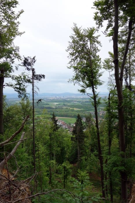 A Guide To Hiking Smarna Gora, The best day trip from Ljubljana. 8 day trips from Ljubljana, Hiking Smarna Gora, The Local Ljubljana mountain! Things to do in ljubljana, Slovenia, Eastern Europe, nature, hikes, mountains, near to the city, local guide, local tips, local food, outdoors, couch surfing