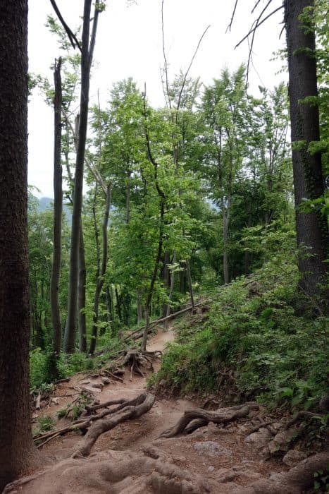 A Guide To Hiking Smarna Gora, The best day trip from Ljubljana. 2 day trips from Ljubljana, Hiking Smarna Gora, The Local Ljubljana mountain! Things to do in ljubljana, Slovenia, Eastern Europe, nature, hikes, mountains, near to the city, local guide, local tips, local food, outdoors, couch surfing