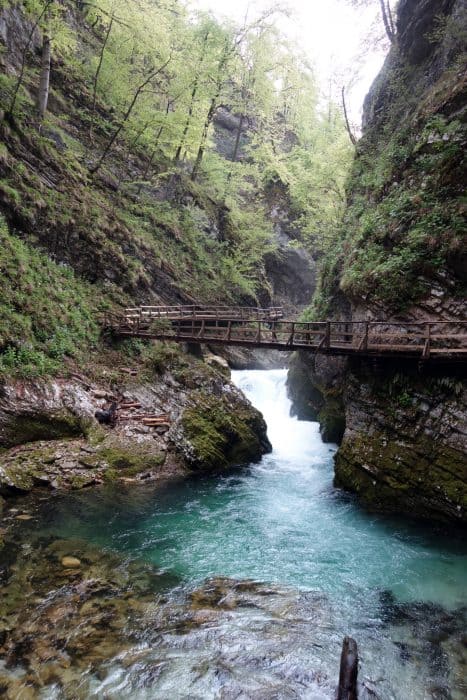 Exploring the Emerald Waters of the mind blowing Vintgar Gorge, Slovenia, things to do in Slovenia, things to do in bled, nature, beautiful, emerald water, adventure, photography, europe, triglav national park, julian alps