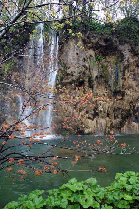 Exploring the otherworldly Plitvice Lakes, Croatia. How the rain became a blessing! when it is raining at plitvice lakes, how to get to plitvice lakes, where should I base myself for Plitvice lakes, nearest city to plitvice lakes, croatia, zadar, waterfalls, UNESCO, good base for plitvice lakes, weather, crowds, tips, 