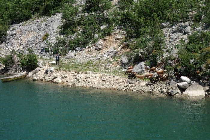The 3 hour ferry ride through the mountains of Northern Albania that blew us away (and should be on everyones bucket list!), shkoder, skhoder, albania, tirana, mountains, adventure, hike, off the beaten track, off the beaten path, explore, ferry, valbona, albanian alps, Koman, komani, lake, local, rural, fjords, feirze, things to do in Albania, things to see