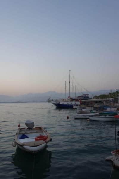 dsc07317