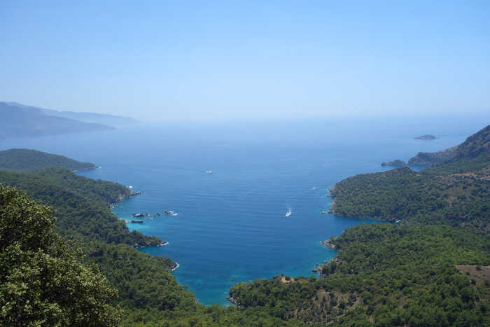 DSC07368