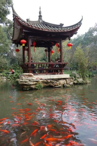  backpacking, travel, travelling, traveling, Asia, South East Asia, Beijing, The Great Wall of China, mUTIANYU, Sleeper train, Hard sleep, Hong Kong, Pingyao, Traditional, modern, what is china really like, monk, mountains, Zhangjiajie, Guilin, Yanghshou, Xingping, li river, Xian, Chengdu, Panda, Buddha, Leshan, Terracotta warriors, visa, how to backpack in china, explore, adventure