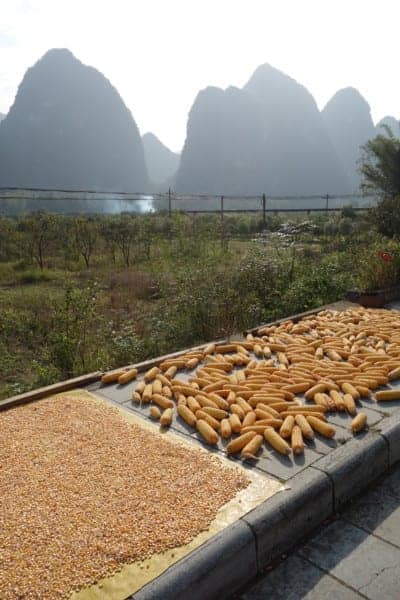 A guide to the Guilin area of China: Yangshuo, Xingping and beyond, Things to do in Guilin, what to do, guide, where to stay in Guilin, how to get to Yangshuo, bus, train, minibus, transport, time, farms, rural, climbing, hike, bamboo raft, scams, karst, mountains, river, Li, Yulong, cycling, bike, hire a bike, this old place, sadder street, guilin china, guilin tour, guilin weather, guilin travel,yangshuo china, yangshuo hotels, guilin yangshuo, yangshuo hostel, yangshou rock climbing, Yangshuo mountains, li river cruise, Xingping china, Xingping this old place international hostel, backpacking china, adventure activities, adreneline, traditional, explore, Two days exploring the peaks, rivers and farms of wonderful Xingping & Yangshuo via bikes, boats and boots!