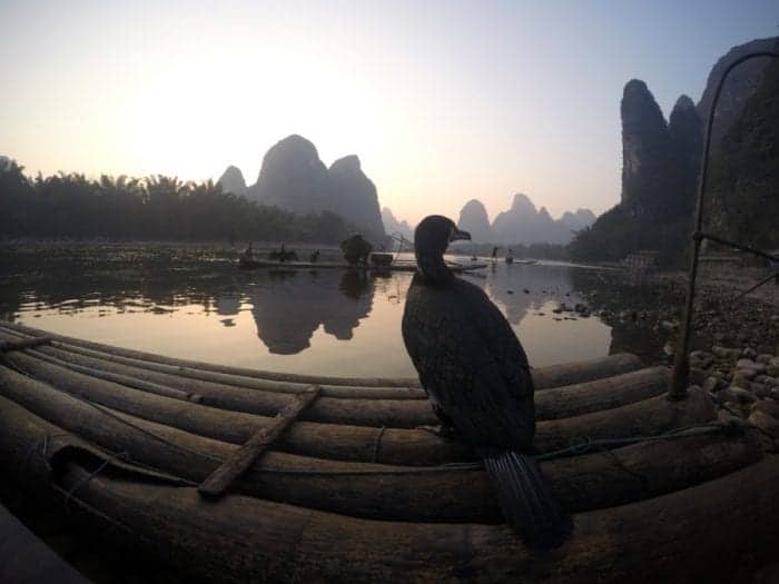 A guide to the Guilin area of China: Yangshuo, Xingping and beyond, Things to do in Guilin, what to do, guide, where to stay in Guilin, how to get to Yangshuo, bus, train, minibus, transport, time, farms, rural, climbing, hike, bamboo raft, scams, karst, mountains, river, Li, Yulong, cycling, bike, hire a bike, this old place, sadder street, guilin china, guilin tour, guilin weather, guilin travel,yangshuo china, yangshuo hotels, guilin yangshuo, yangshuo hostel, yangshou rock climbing, Yangshuo mountains, li river cruise, Xingping china, Xingping this old place international hostel, backpacking china, adventure activities, adreneline, traditional, explore, Two days exploring the peaks, rivers and farms of wonderful Xingping & Yangshuo via bikes, boats and boots!