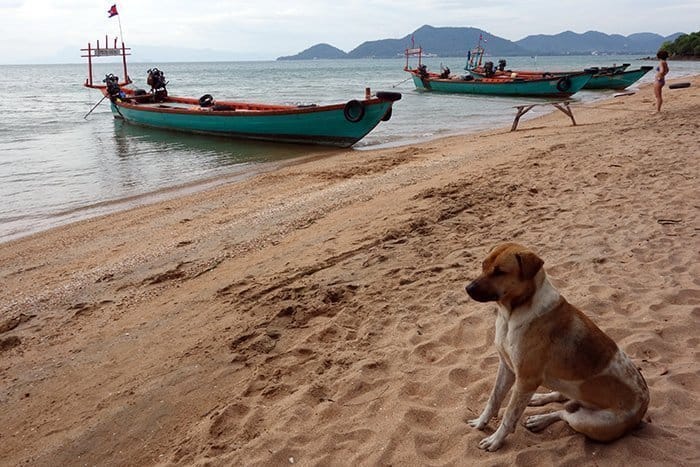 Christmas On The Beach In Cambodia 15 Christmas in Cambodia, Christmas on a beach, kampot, kep, rabbit island, Koh tonsay, Christmas in Asia, Christmas Cambodia,Koh Tonsay Cambodia, Spending Christmas on the beach: A day of adventure to find paradise on a Cambodian Island for a different type of celebration, Beach, abroad, Cambodia, Kep, Kampot, Siem Reap, Angkor Wat, Adventure, Beach, sea, swim, island, Koh, rabbit island, Koh Tonsay, bungalow, bungalow on the beach, drinking from a coconut, Santa, hot Christmas, Christmas in Southeast Asia,