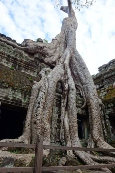 Month 2 in Asia (Month 6 backpacking over all), A crazy month filled with culture, history, celebrations and being threatened of a 7 year old with a needle! Random indeed, Thailand, Bangkok, Cambodia, Siem Reap, Angkor Wat, Floating village, Phnom Penh, Killing fields, Kampot, Kep, Beach, Christmas, Adventure, Asia, South East Asia, backpacking, travelling, traveling, uk to nz, tattoo, traditional, airplane graveyard