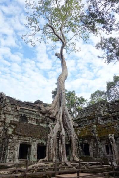 visiting Angkor Wat, angkor Wat, Angkor Thom, Preh khan, Bayon, Ta Promh, Faces, jungle, overgrown, monk, religious, sunrise, reflection, moat, how to visit Angkor Wat, Where is Angkor Wat, history, Tomb Raider, explore, adventure, Cambodia, Aisa, Tuk Tuk, how to get around Angkor Wat, How much does it cost to visit Angkor Wat, Siem Reap, South East Asia, 
