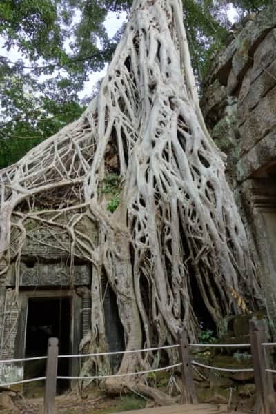 visiting Angkor Wat, angkor Wat, Angkor Thom, Preh khan, Bayon, Ta Promh, Faces, jungle, overgrown, monk, religious, sunrise, reflection, moat, how to visit Angkor Wat, Where is Angkor Wat, history, Tomb Raider, explore, adventure, Cambodia, Aisa, Tuk Tuk, how to get around Angkor Wat, How much does it cost to visit Angkor Wat, Siem Reap, South East Asia, 