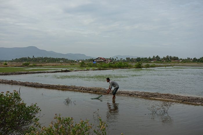 Kampot things to do, things to do in Kampot, what to do in Kampot, Cambodia, Beach, Coast, Coastal, Stand Up Paddleboarding through the mangroves of Kampot on an extra ordinary Cambodian Boxing Day, Stand up Paddle board, SUP, adventure, activities, outdoors, river, sea, swim, checkpoint, stand up paddleboarding kampot, kampot adventure activities, things to do in kampot, Kampot SUP, kampot river, salt flats kampot, Cambodia Boxing Day