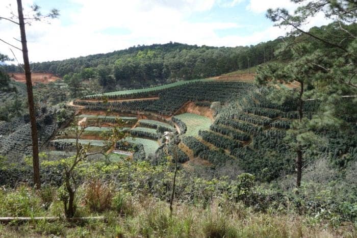 things to do in Dalat, what to see in Dalat, Dalat travel guide, tourism, minority villages, motorbike, easy rider, tour, route, mountains, mountain pass, central highlands, elephant waterfall, tiger waterfall, Datanla waterfall, tourist trap, epic scenery, weather, climate, coffee, rural, landscape, Vietnam, South East Asia,
