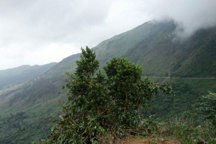 Twisting and turning around the Hai Van Pass: The perfect coastal road that clings to a mountain, Hoi An, Hue, Da Nang, marble mountain, Hai Van Pass, Top Gear, motorbike Vietnam, mountain roads, coastal roads, Viet Cong, Hai Van Pass tour, Hai Van pass motorbike tour, south east asia, things to do in Hoi An, things to do in Da Nang,