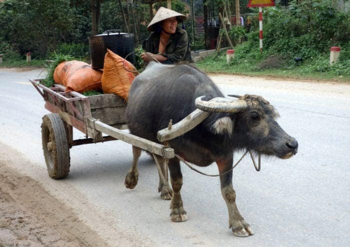 Exploring the often overlooked karst landscape of Ninh Binh, A short ride from Hanoi but a world away from the city, Ninh Binh Vietnam, Tam Coc, Bich Dong, view point, hike, free, cheap, tour, motorbike, scooter, Mua Caves, things to do in Minh Binh, what to do