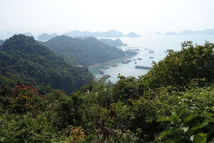 Heading to Cat Ba island and doing amazing Ha Long bay on a backpacker budget, Ha Long Bay Vietnam, Ha Long bay cruise, Ha Long bay tours, Ha Long bay trip, Halong bay, Kayak, cheap, budget, from Hanoi, Ha Long bay without a tour, Money island, hike, monkeys, beach, swim, karst, mountain, Cat Ba Vietnam, Cat Ba Island, Cat ba hotel, Cat Ba island Vietnam