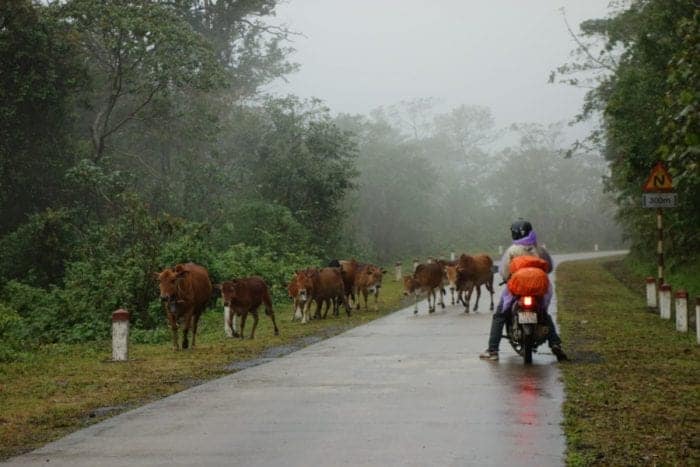 Riding around the amazing Phong Nha National Park: Exploring the worlds largest caves and the jungle lined Ho Chi Minh Trail. Phong Nha Ke Bang, Motorbike, Ho Chi Minh trail, Khe San, how to ride to Phong Nha, should I take extra petrol in vietnam on a motorbike, scooter, villages, trails, Can I get from Hue to Phong Nha, Hue, Riding, Route, Caves, Dark Cave, Hang En, Paradise cave, expensive, tours, Biggest cave in the world, Son Doong