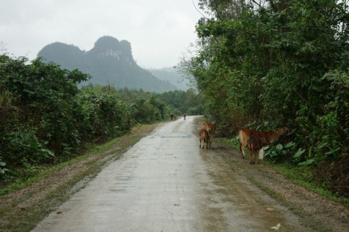 Riding around the amazing Phong Nha National Park: Exploring the worlds largest caves and the jungle lined Ho Chi Minh Trail. Phong Nha Ke Bang, Motorbike, Ho Chi Minh trail, Khe San, how to ride to Phong Nha, should I take extra petrol in vietnam on a motorbike, scooter, villages, trails, Can I get from Hue to Phong Nha, Hue, Riding, Route, Caves, Dark Cave, Hang En, Paradise cave, expensive, tours, Biggest cave in the world, Son Doong