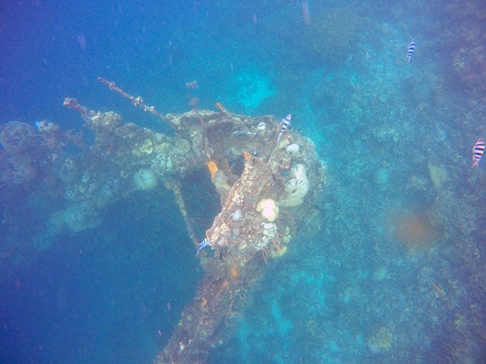 A guide to the isolated island of Coron and its many beautiful islands, Lagoons, wrecks and beaches, Philippine, El Nido, Palawan, Beaches, Sea, Sun, Sand, Vacation, Holiday, Thailand, South East Asia, Alternative to Thailand, Karst, Ha Long bay, Turquoise sea, SCUBA, Wreck Dive, Snorkel, Tours, Trips, boat trip, Boat tour, Swimming in the sea, Coral , Sealife, Marine life, Traditional Filipino boat, Kayangan Lake, Twin Lagoon, Barracuda lake, Banol Beach, CYC Beach, Siete Pecados Marine Park, Clown Fish, Nemo, Skeleton Wreck, Mt Tapyas, Hike, Things to do in Coron, What to do in Coron, Boat trips in Coron, mountain, coron palawan philippines, Coron tour packages, Coron Island, Coron Philippines, 