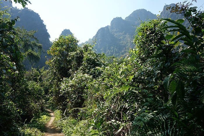 Pha Poak, Things to do Vang Vieng, Guide to Vang Vieng, Laos: A once paradise lost that has been rediscovered as an adventure lovers heaven, things to do in Vang Vieng, a guide to Vang Vieng, Laos, hot air balloon, trekking, hiking, mountain, caves, lusi cave, price, tour, guide, tubing, climbing, view, jungle, spider, hike, Tham Nam, the water cave,Pha Thao Cave, mountain, local, culture, sunset, sun set, sunflower, bungalow, blue lagoon, jump, tree, swing, blue lagoon Vang Vieng, Vang Vieng accommodation, hostel