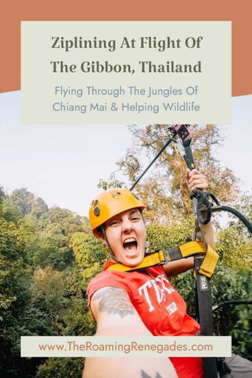 Flight of The Gibbon, Chiang Mai [UPDATED FOR 2026]