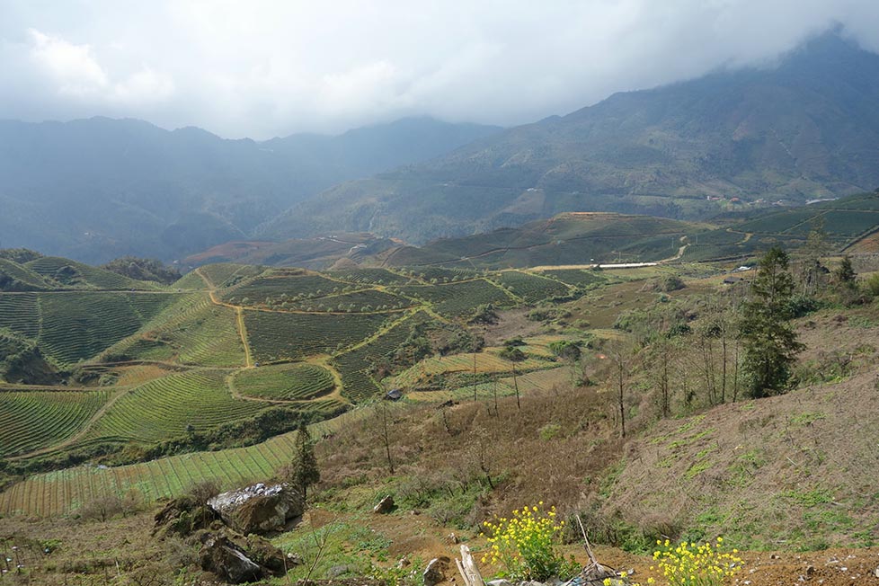 The view high above a valley where rice and crops are being grown below and mountains are surrounded by low cloud behind them