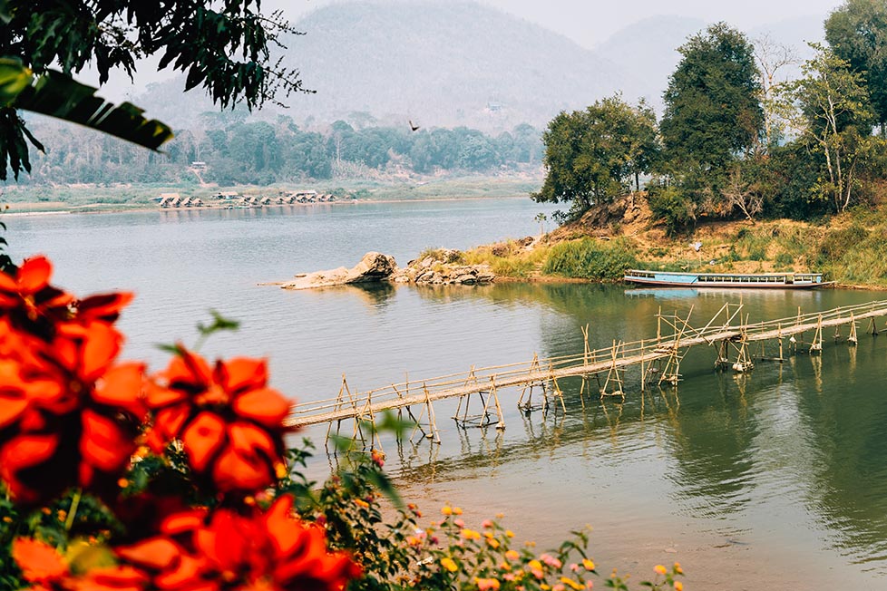 A bamboo bridge crosses a river that connects to the Mekong, a blue long boat is parked up across the way and you can see mountains in the distance, there is a red flower in the foreground in Luang Prabang, Laos