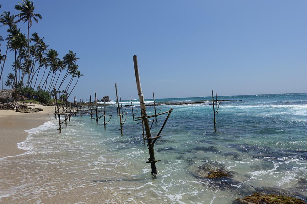 Empty posts in the clear blue sea on the south coast of Sri Lanka with palm trees in the background