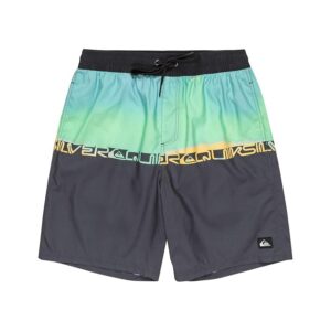 swimming shorts