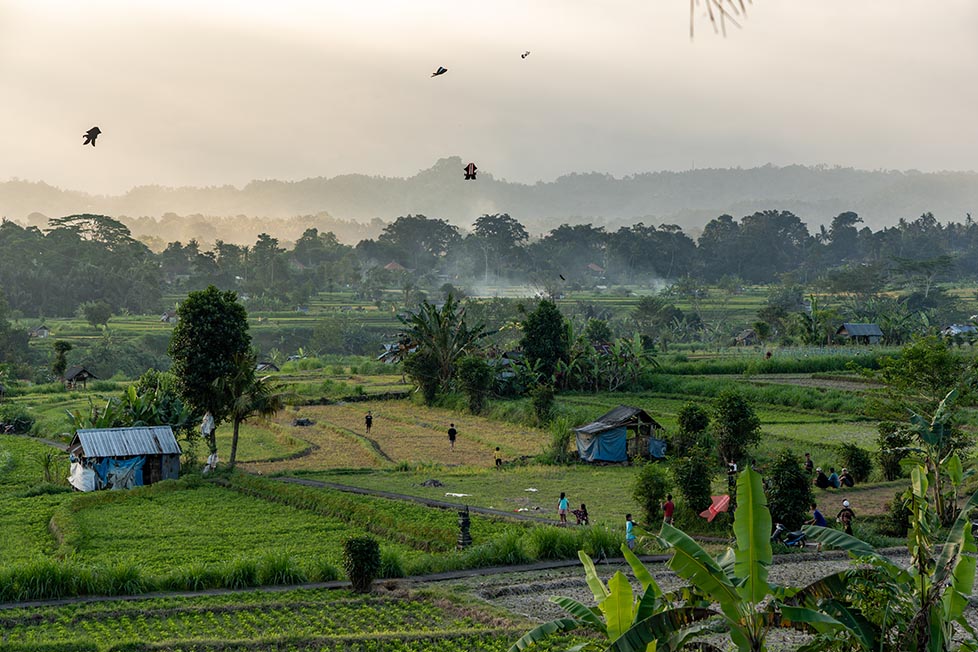 southeast asia indonesia bali rice sunset kite